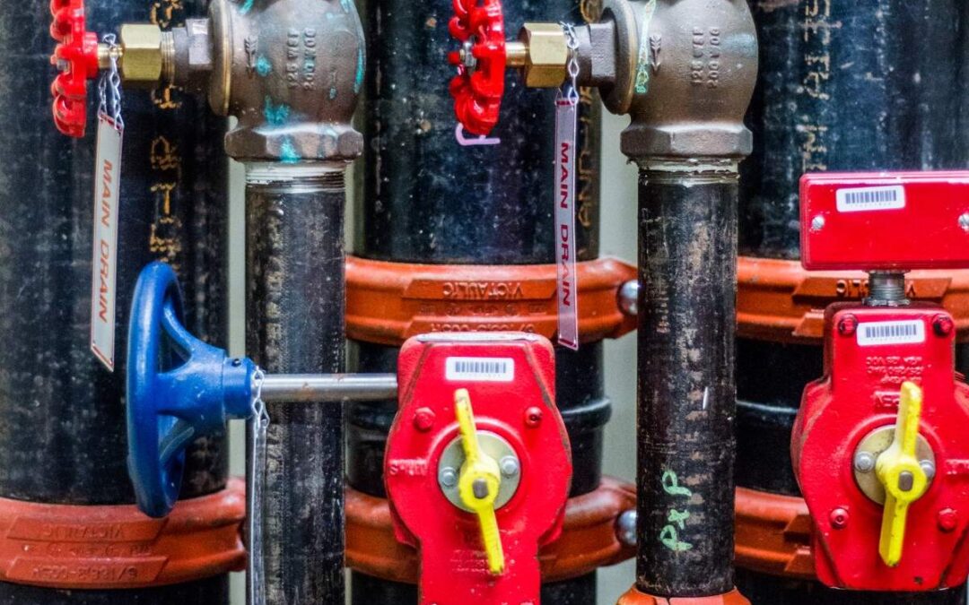 EC.02.03.05 EP 1 Supervisory Signals