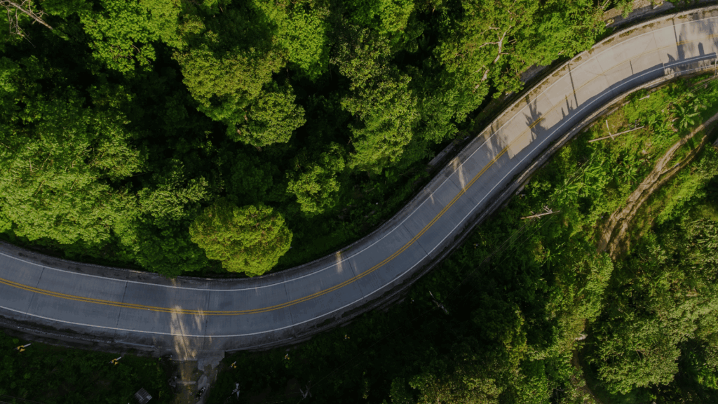 succession planning model